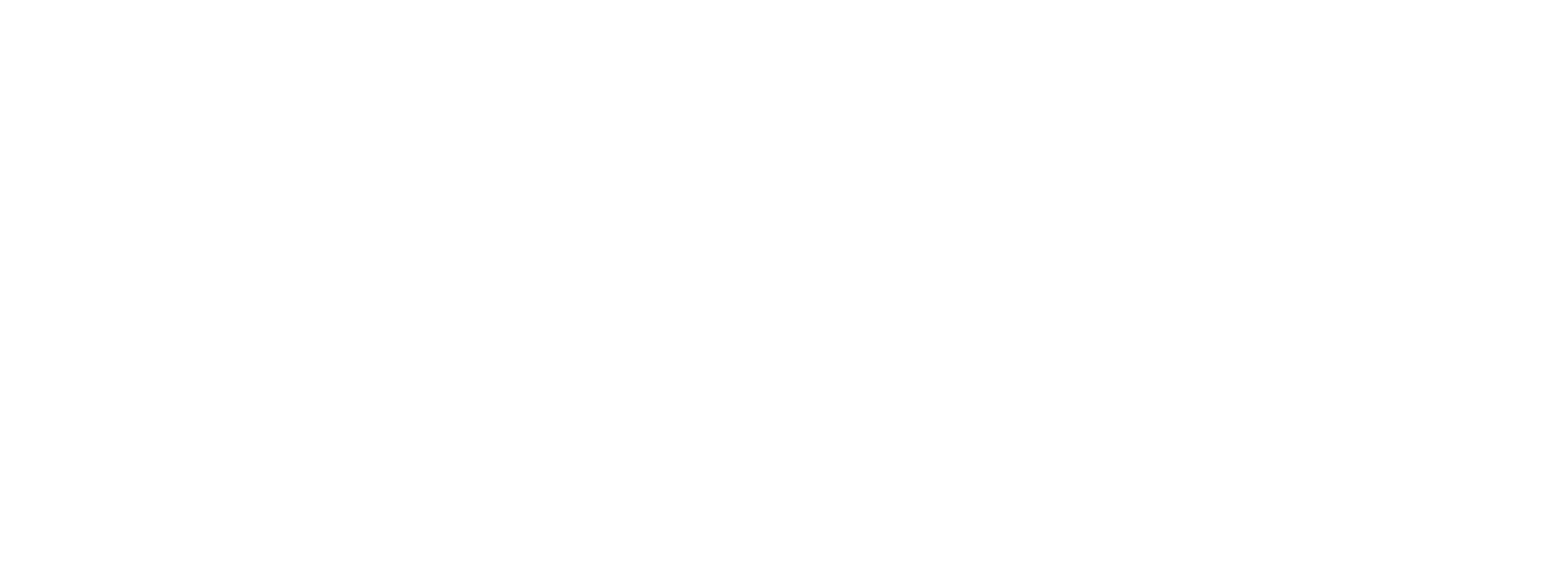 a black and white logo for chiro sites pro